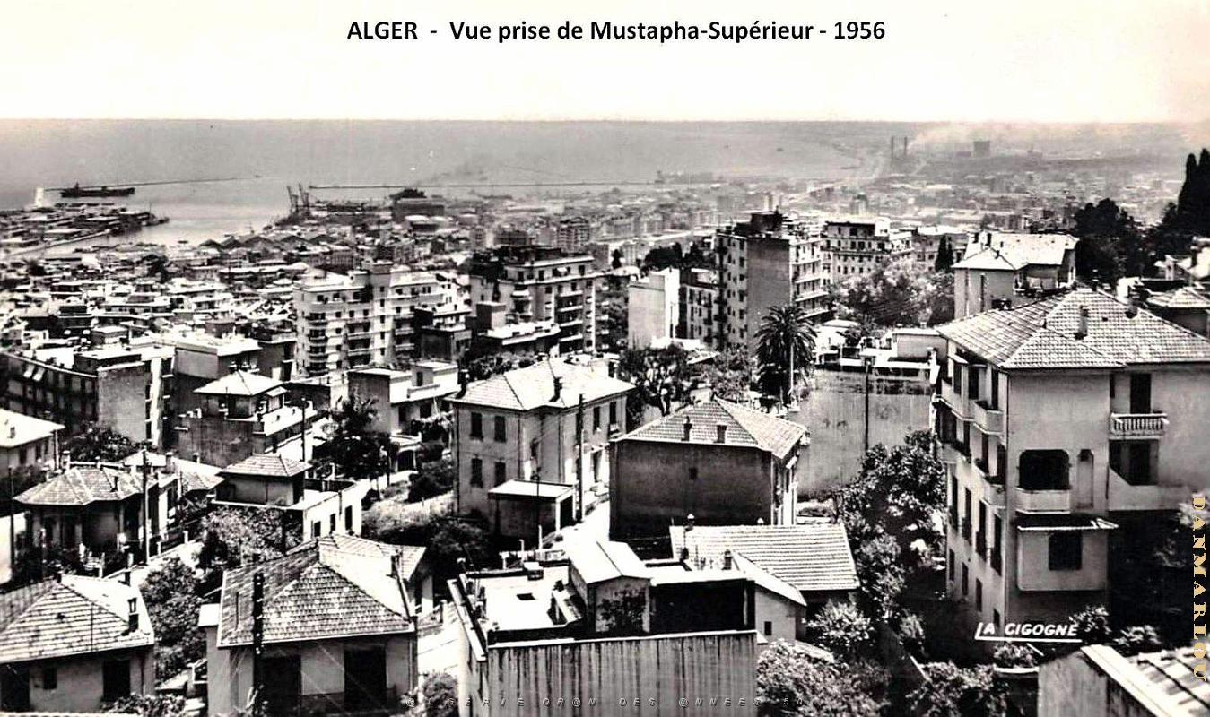 Alger - Vue prise de Mustapha-Superieur - 1956.jpg